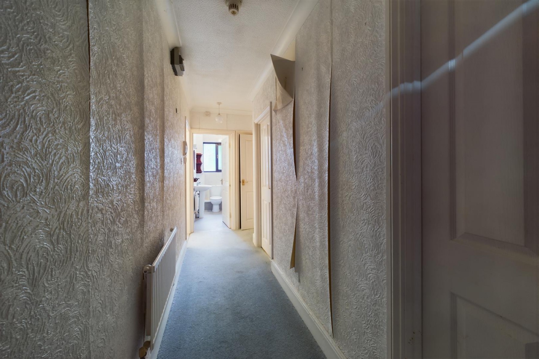 Images for TOP FLAT | UPDATING | WSM