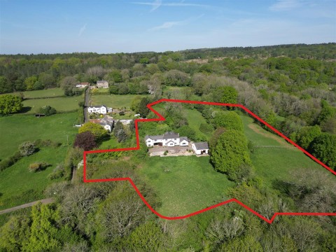 View Full Details for 
