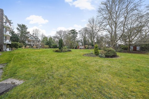 View Full Details for 