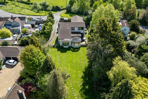 View Full Details for 