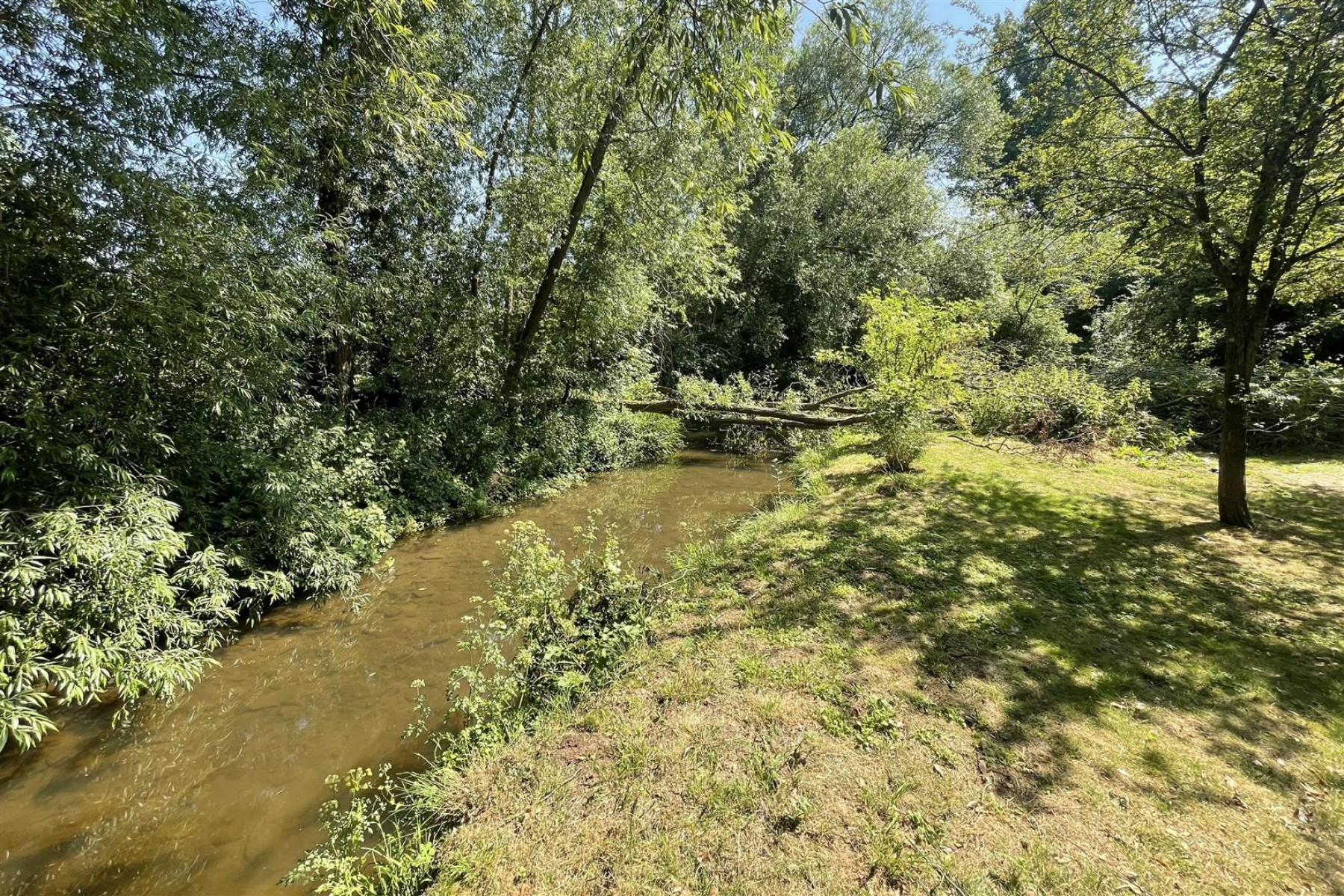 Images for WOODLAND & RIVER | FRAMPTON COTTRELL