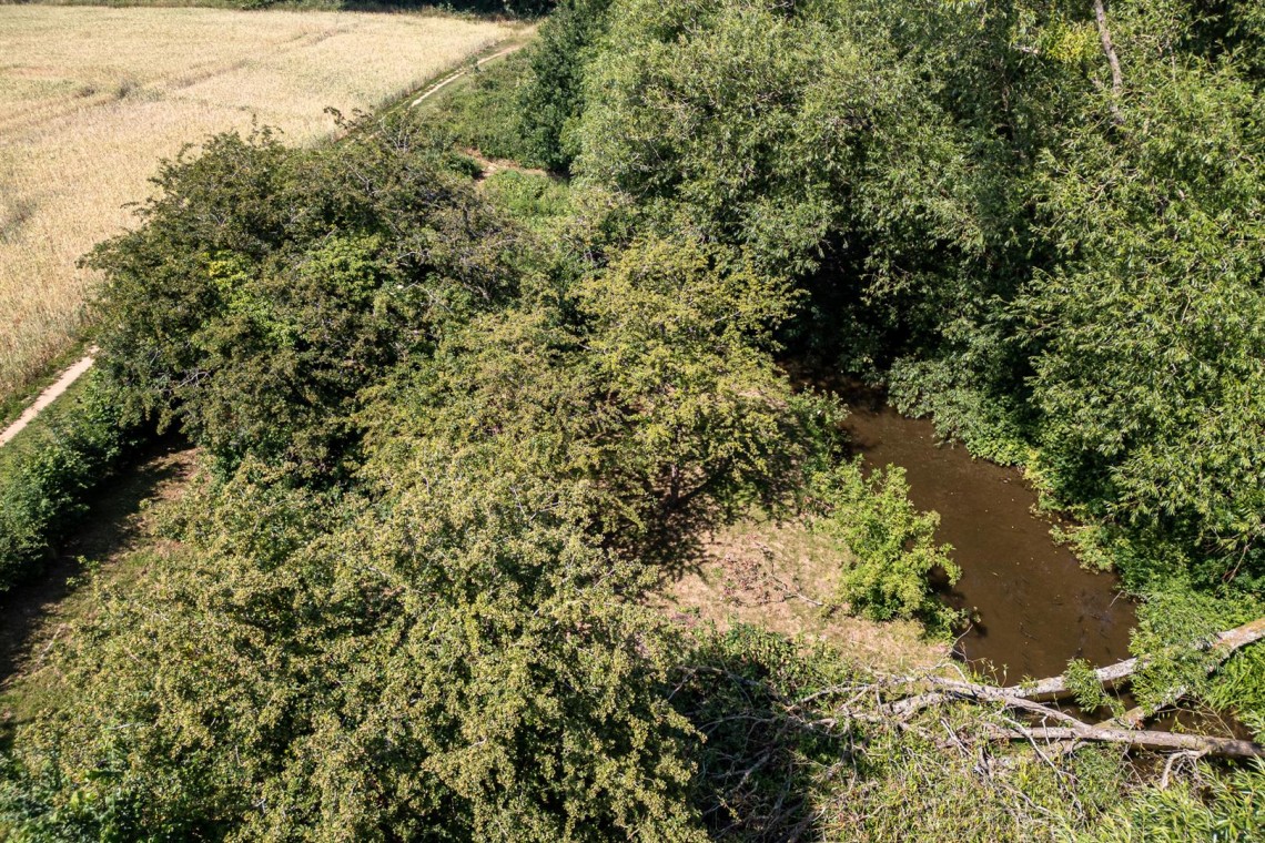 Images for WOODLAND & RIVER | FRAMPTON COTTRELL