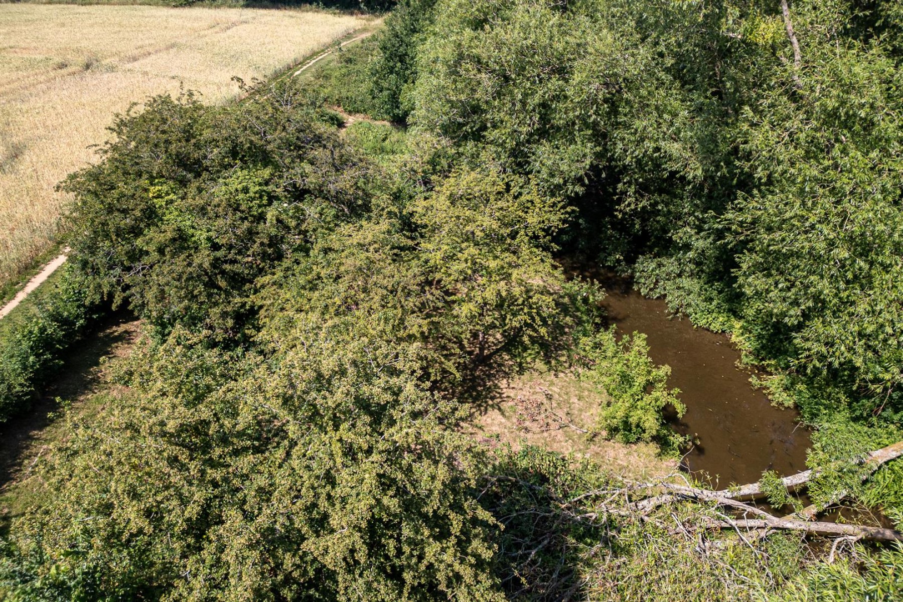 Images for WOODLAND & RIVER | FRAMPTON COTTRELL