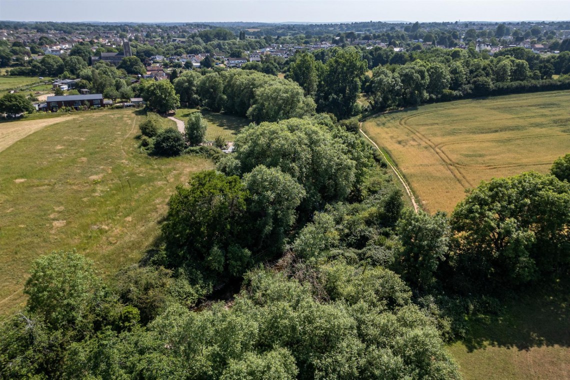 Images for WOODLAND & RIVER | FRAMPTON COTTRELL