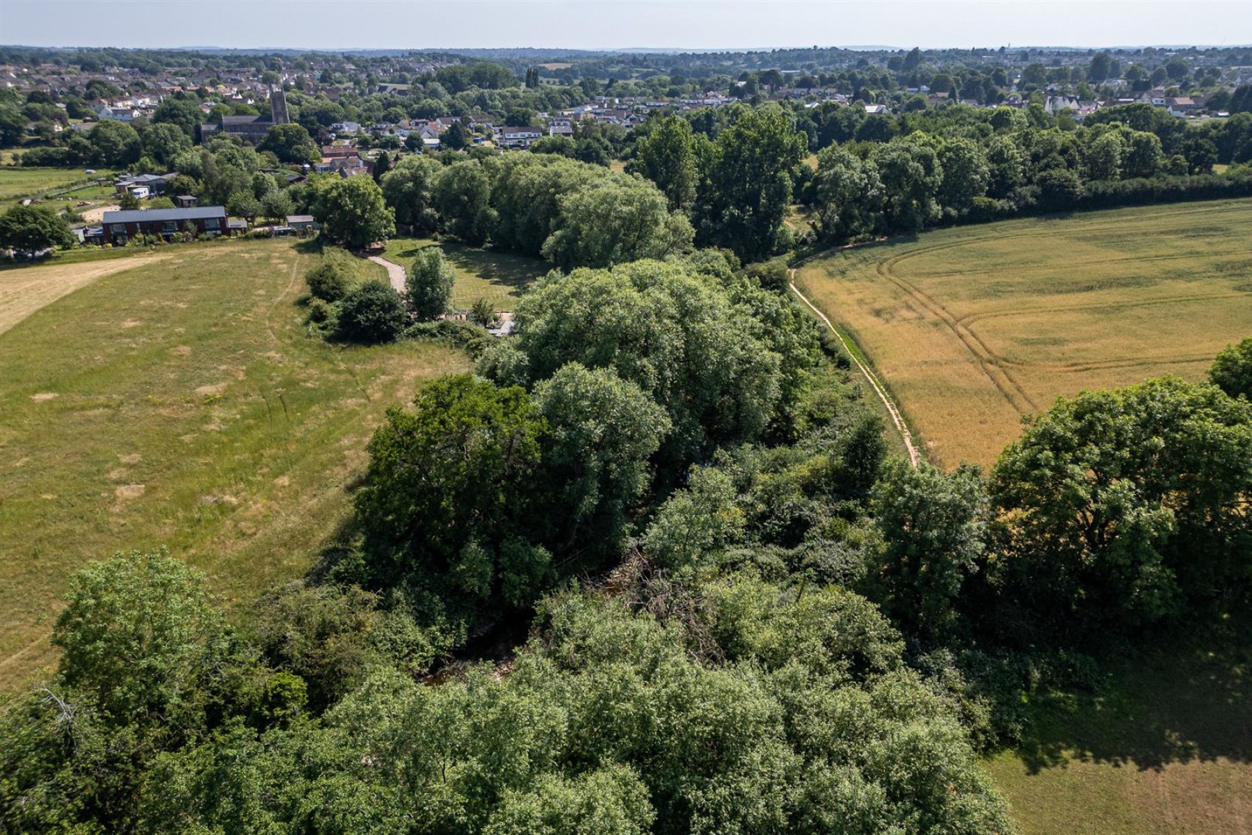 Images for WOODLAND & RIVER | FRAMPTON COTTRELL