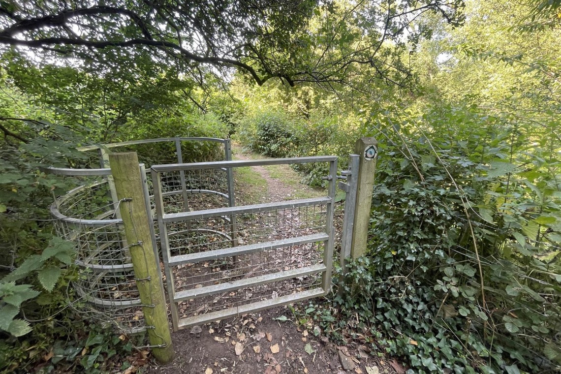 Images for WOODLAND & RIVER | FRAMPTON COTTRELL