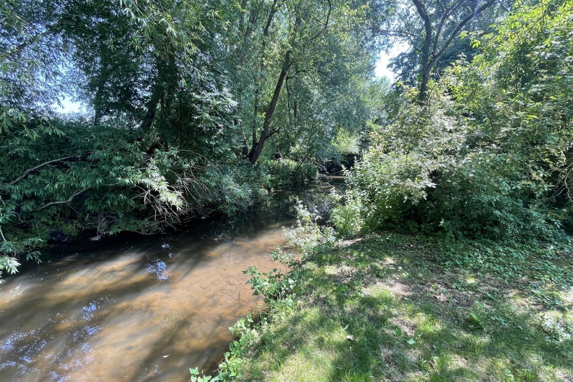 Images for WOODLAND & RIVER | FRAMPTON COTTRELL
