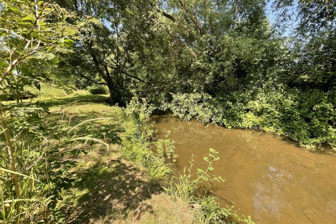 Images for WOODLAND & RIVER | FRAMPTON COTTRELL