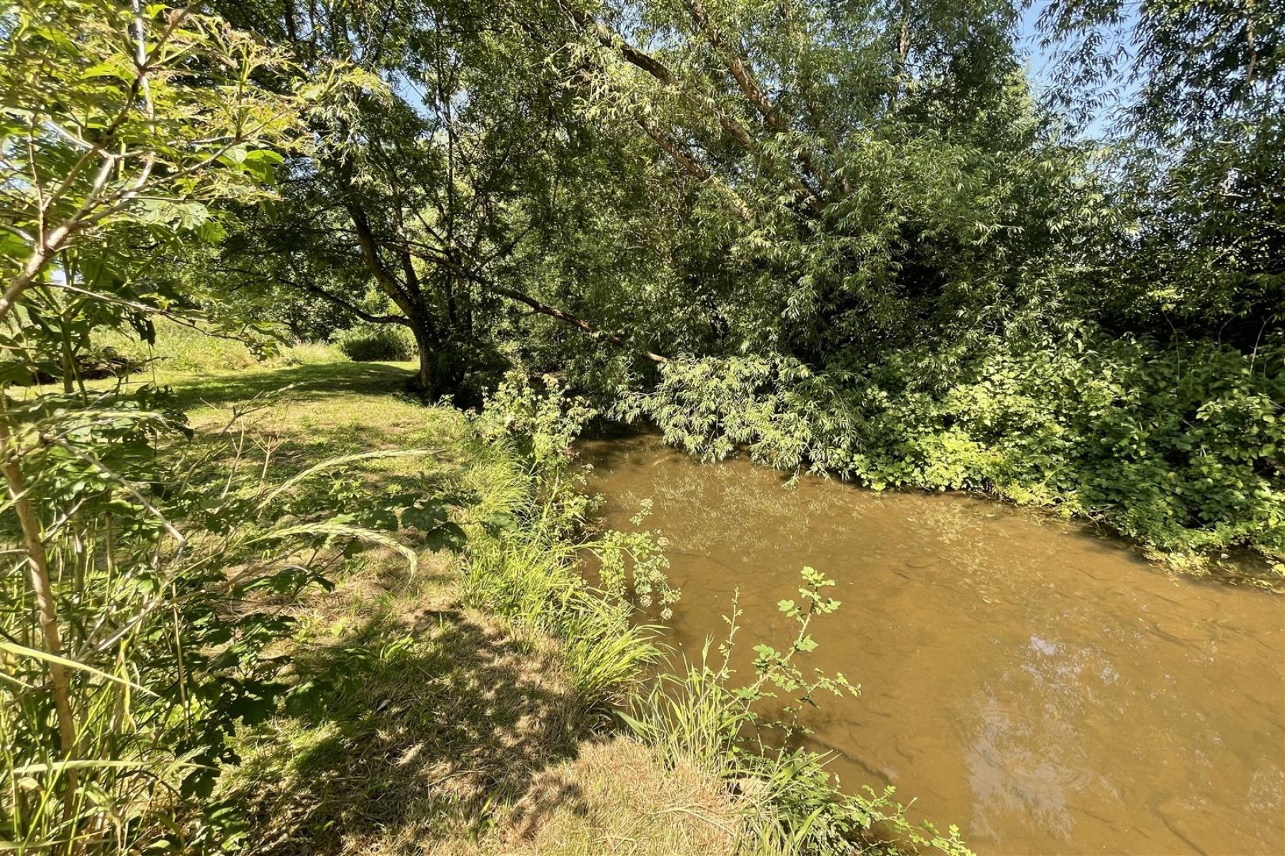 Images for WOODLAND & RIVER | FRAMPTON COTTRELL