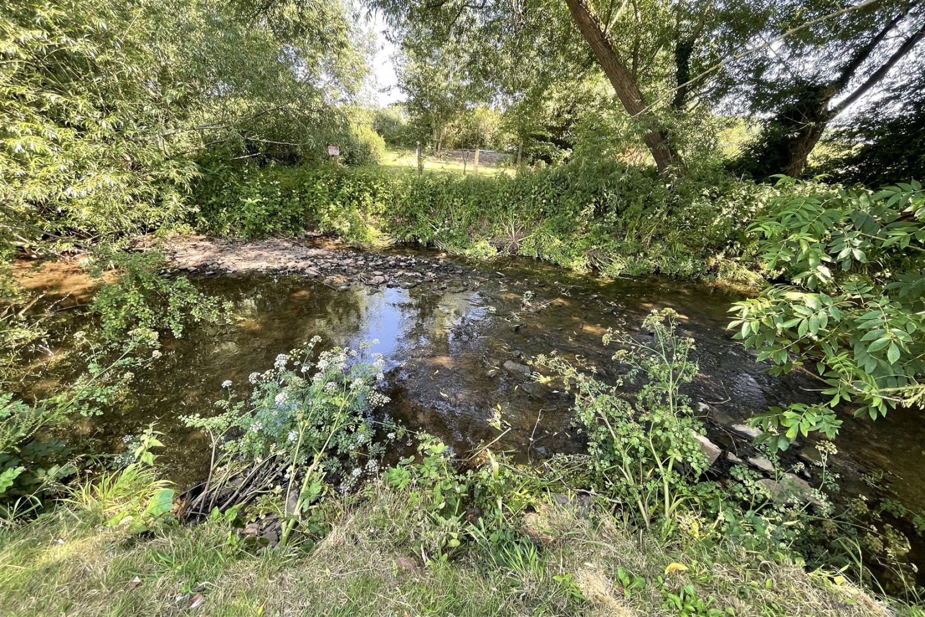 Images for WOODLAND & RIVER | FRAMPTON COTTRELL