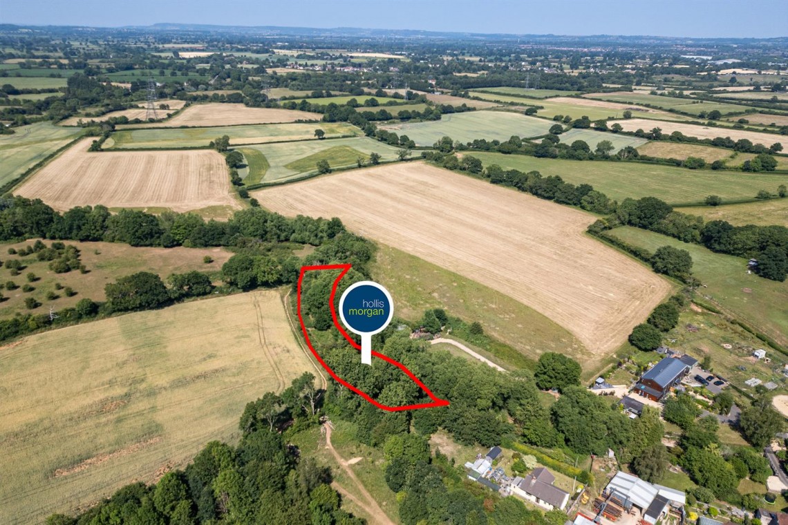 Images for WOODLAND & RIVER | FRAMPTON COTTRELL