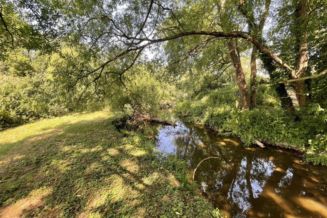 Images for WOODLAND & RIVER | FRAMPTON COTTRELL