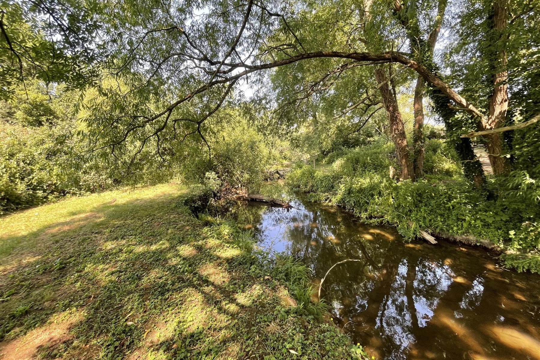 Images for WOODLAND & RIVER | FRAMPTON COTTRELL