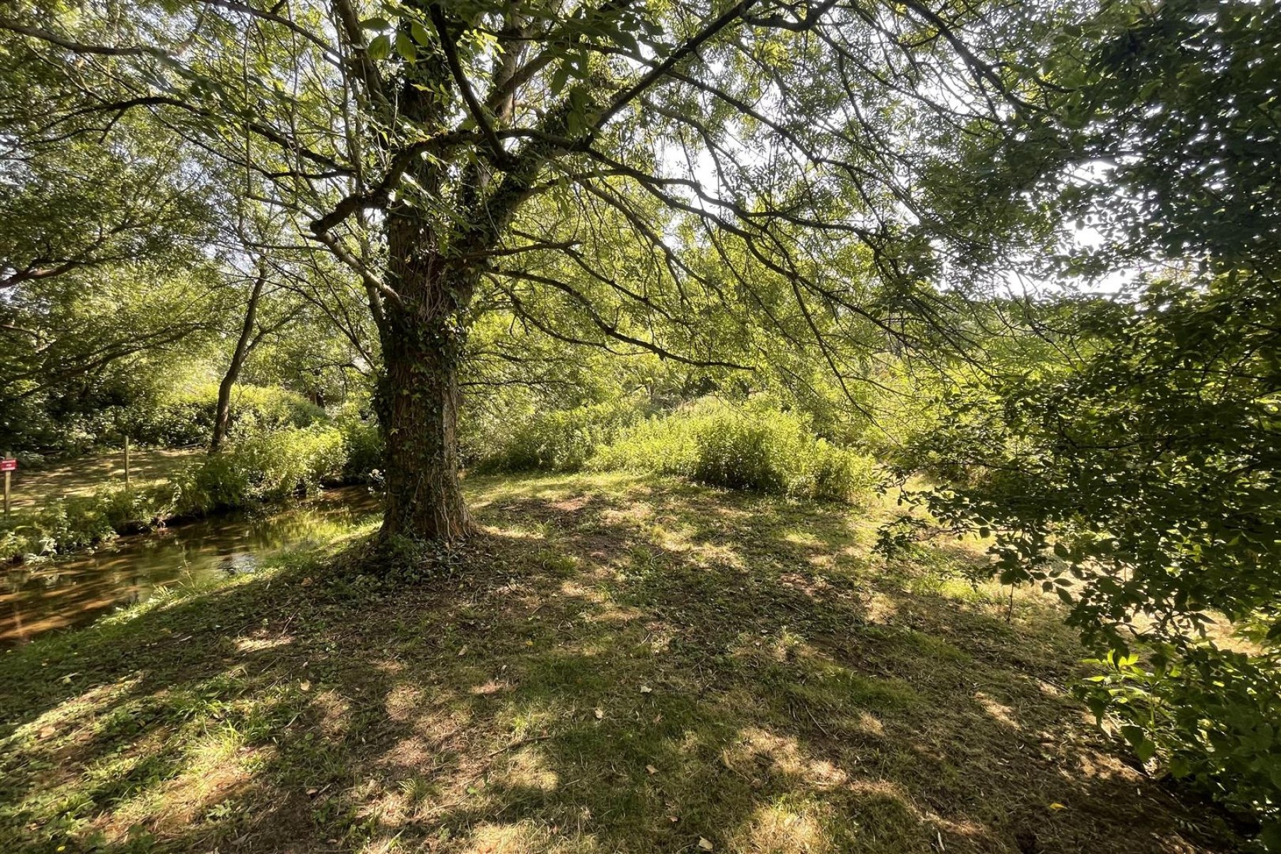 Images for WOODLAND & RIVER | FRAMPTON COTTRELL