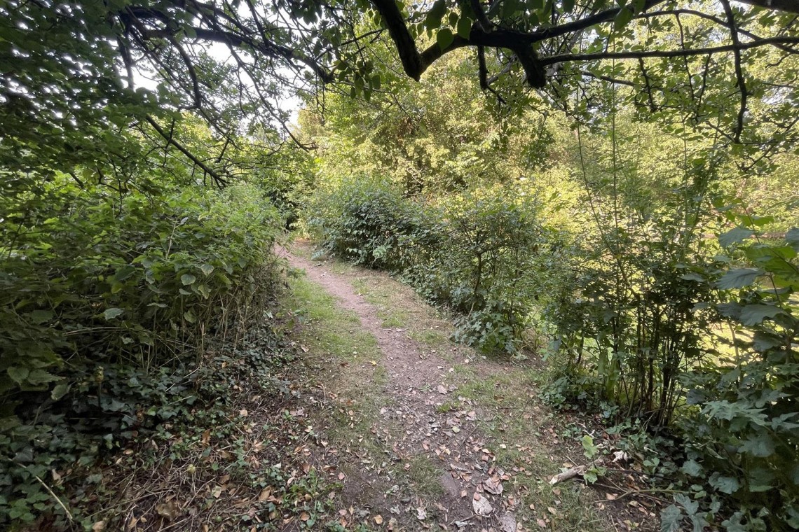 Images for WOODLAND & RIVER | FRAMPTON COTTRELL