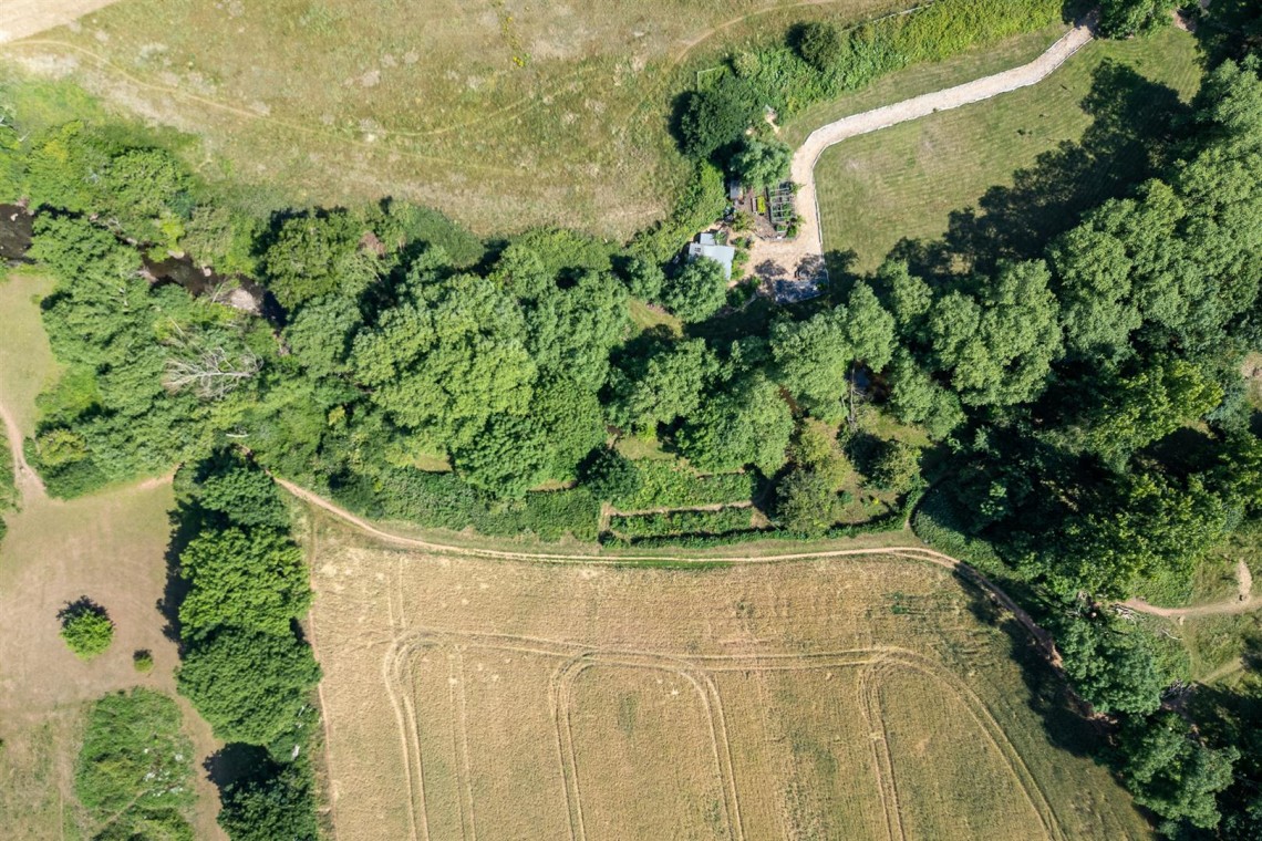 Images for WOODLAND & RIVER | FRAMPTON COTTRELL