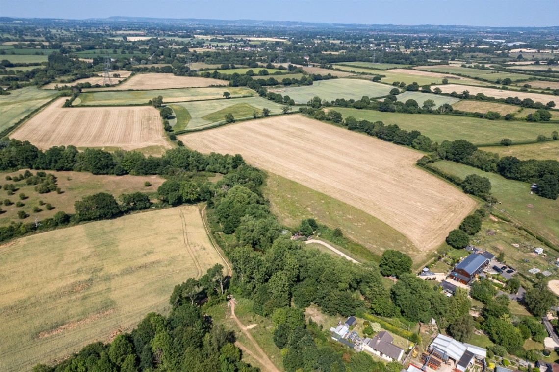 Images for WOODLAND & RIVER | FRAMPTON COTTRELL