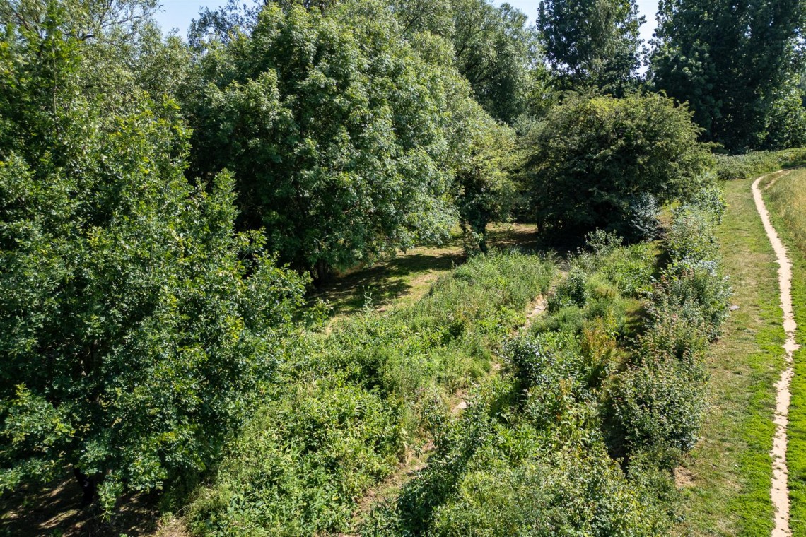 Images for WOODLAND & RIVER | FRAMPTON COTTRELL