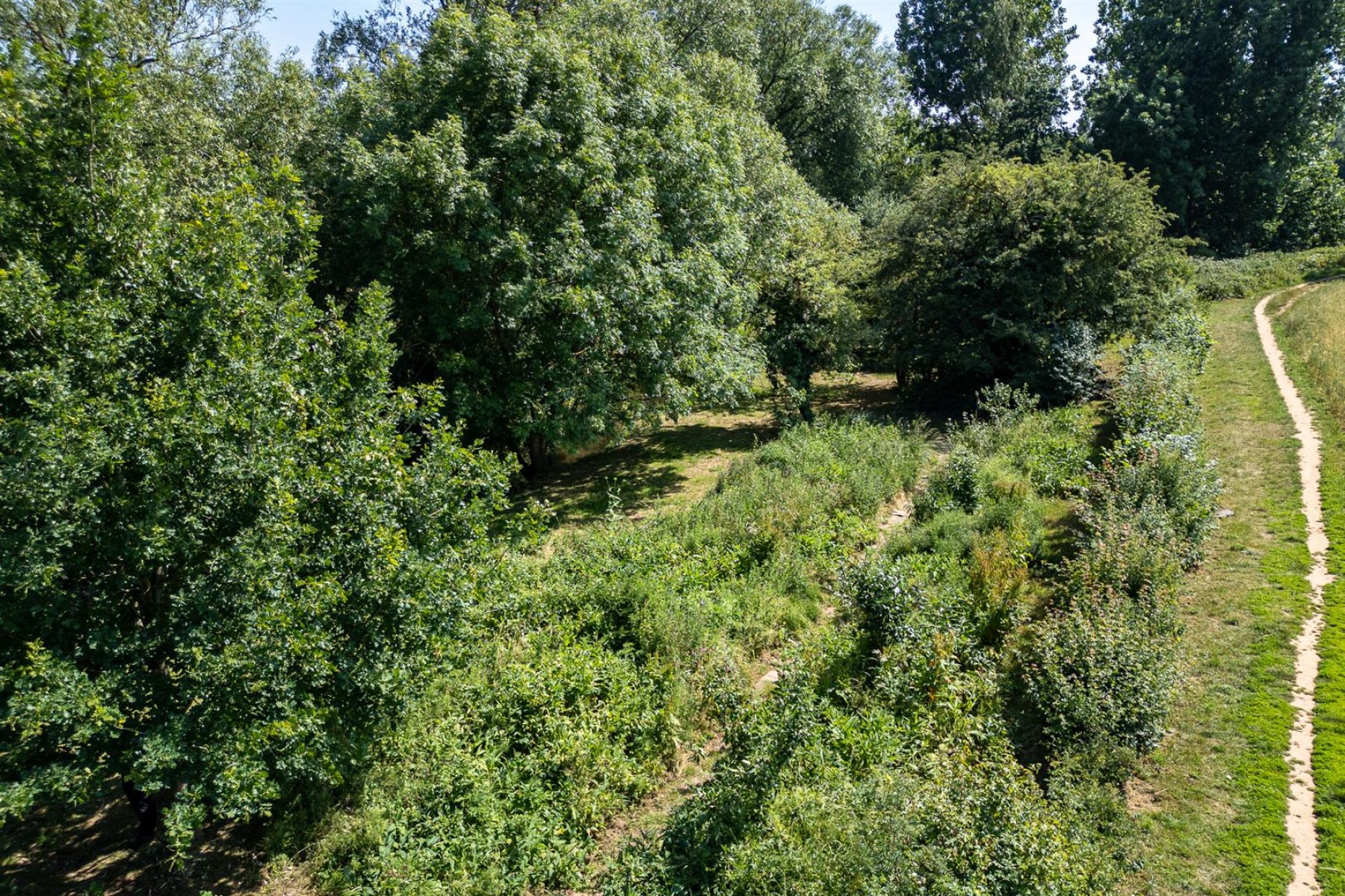 Images for WOODLAND & RIVER | FRAMPTON COTTRELL