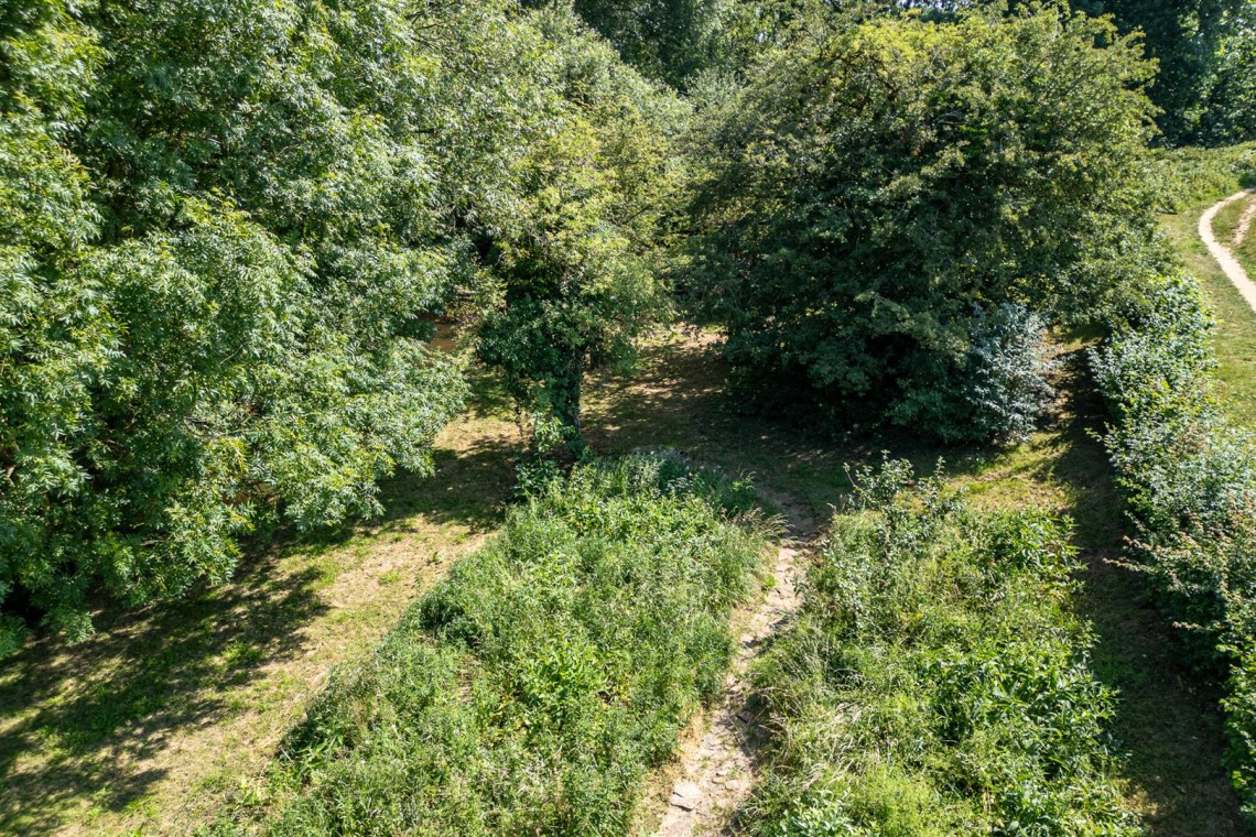 Images for WOODLAND & RIVER | FRAMPTON COTTRELL