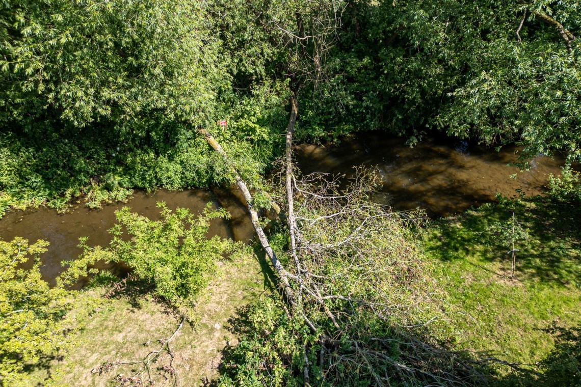 Images for WOODLAND & RIVER | FRAMPTON COTTRELL