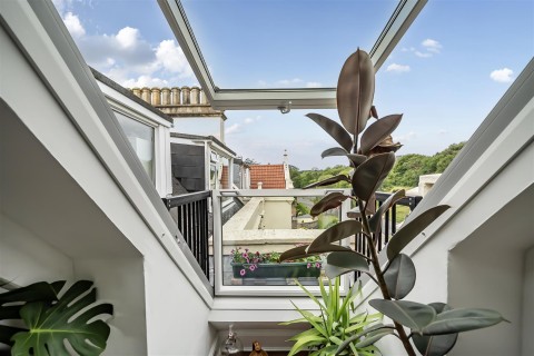 View Full Details for 