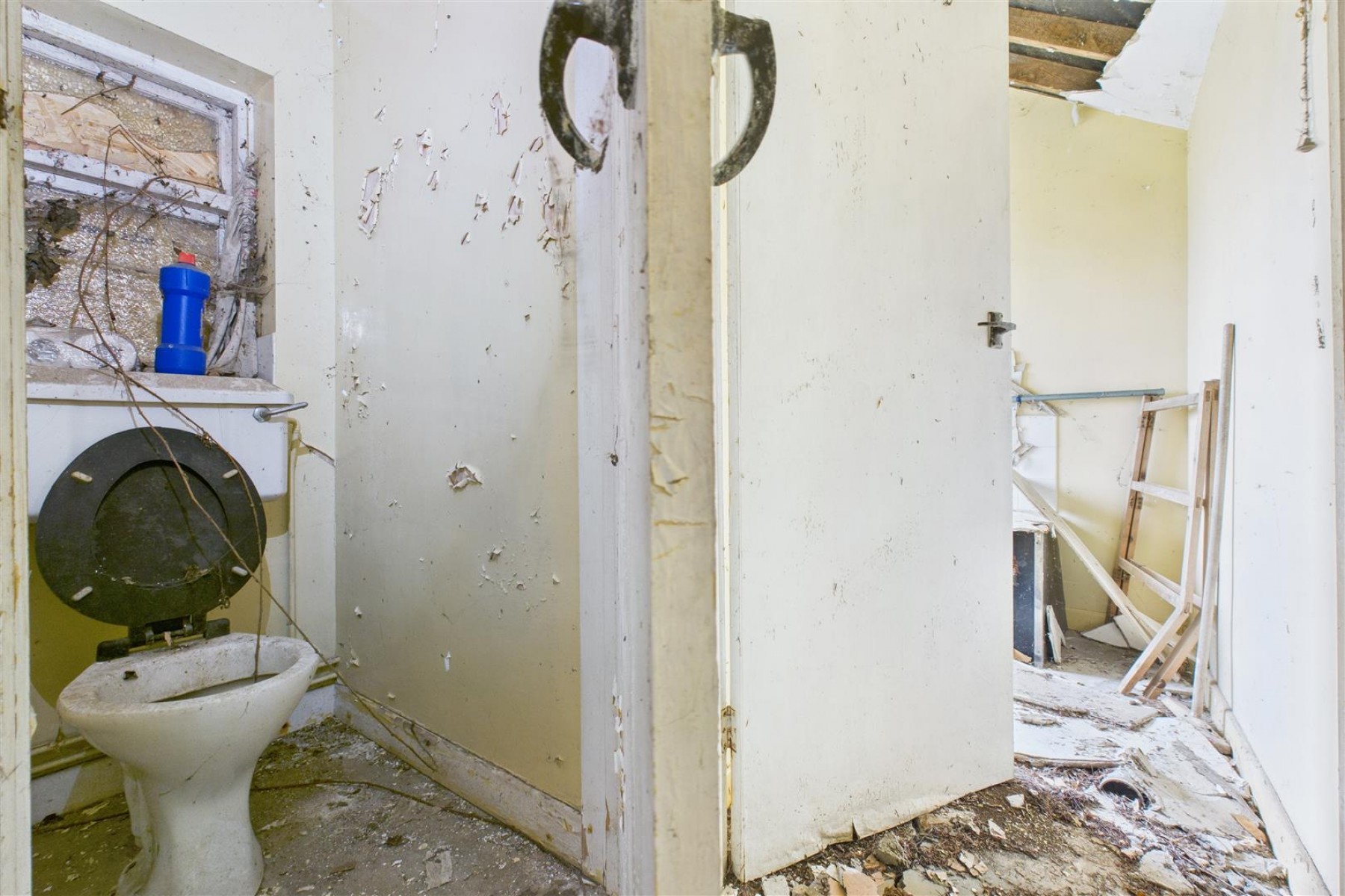 Images for FARMHOUSE + 2.36 ACRES | KENN