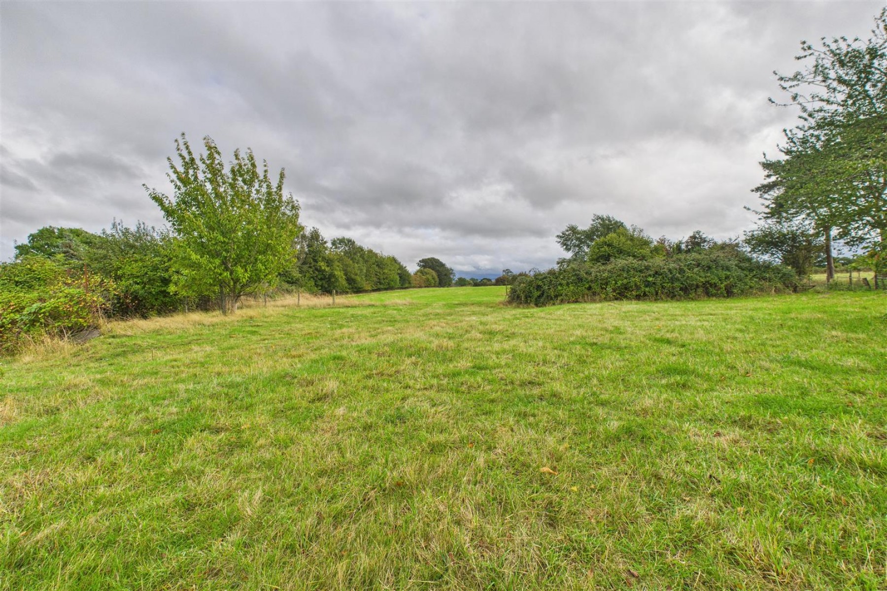 Images for FARMHOUSE + 2.36 ACRES | KENN