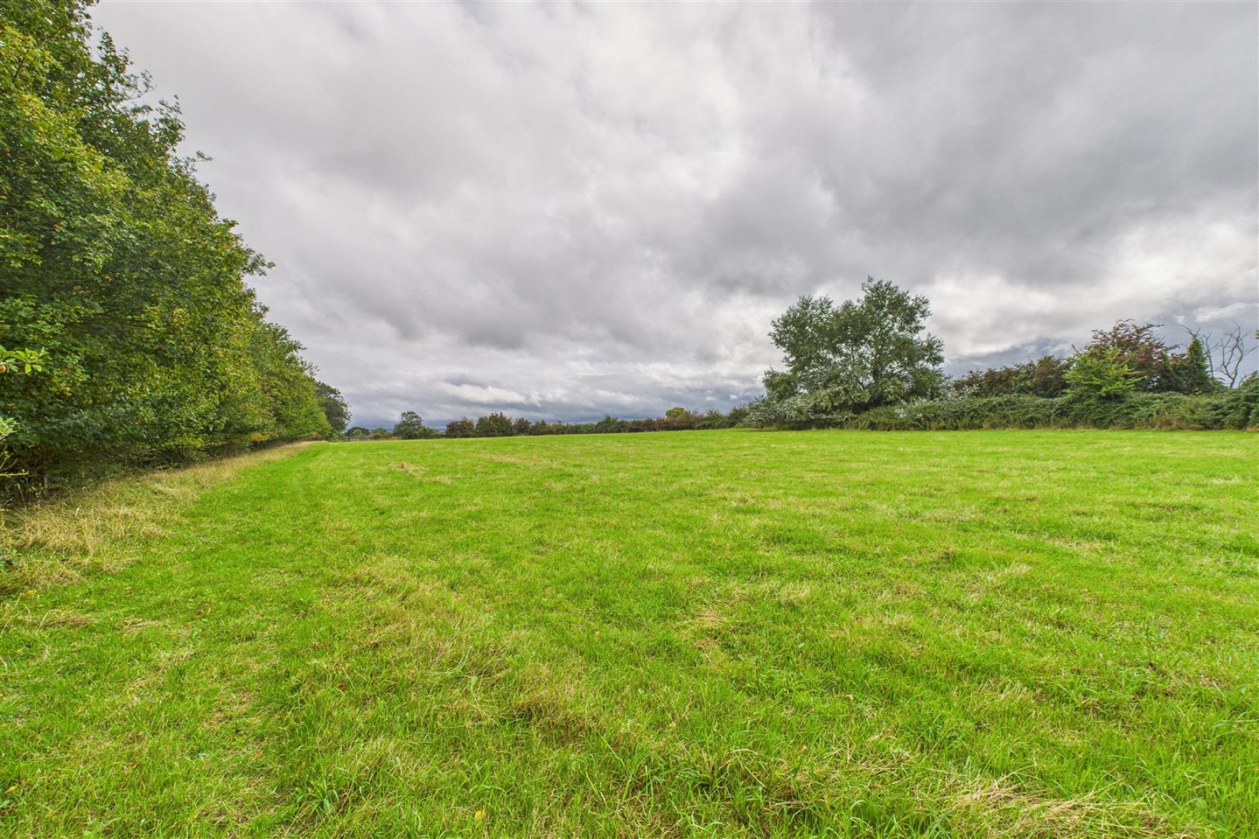 Images for FARMHOUSE + 2.36 ACRES | KENN