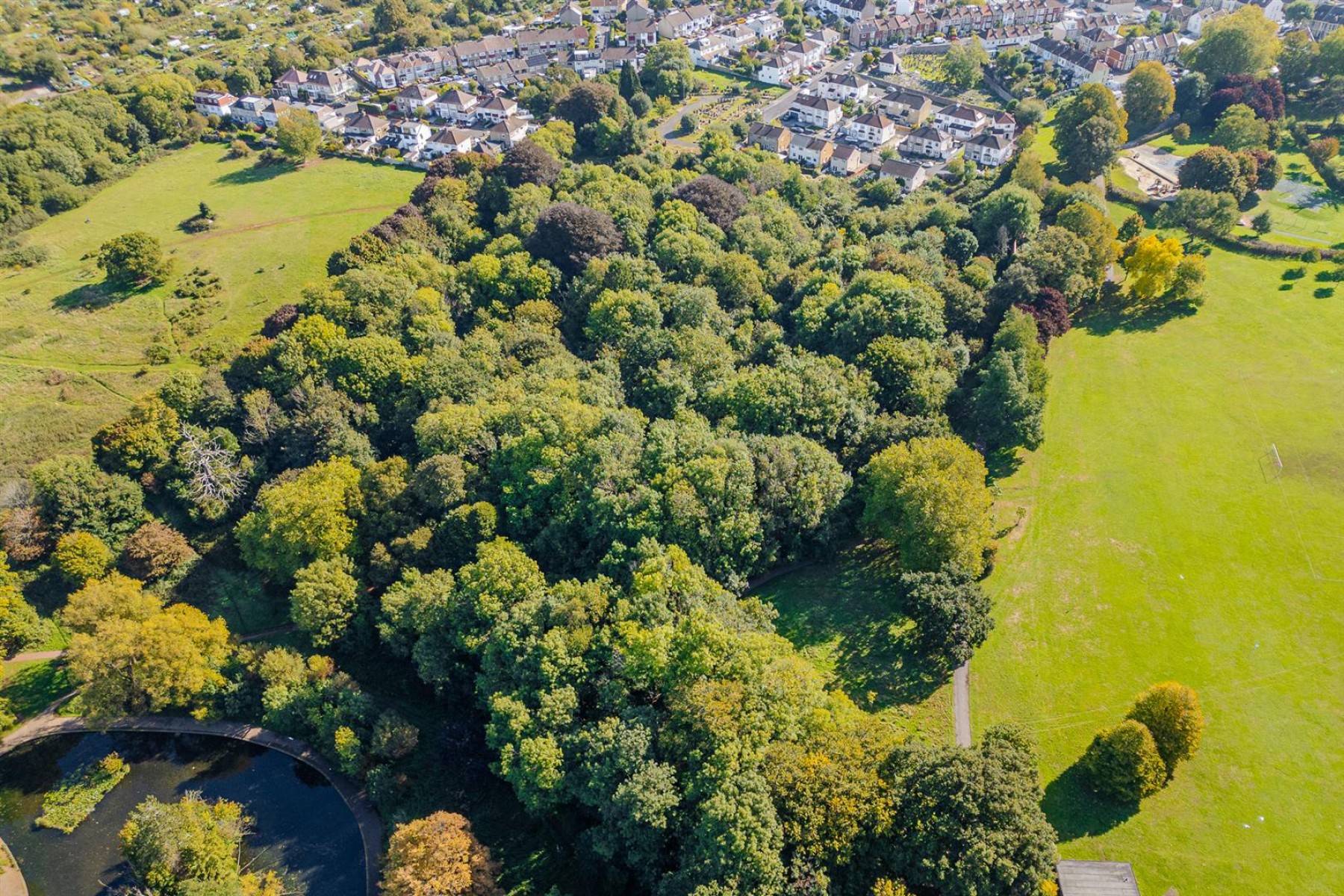 Images for DEVELOPMENT SITE | BS5