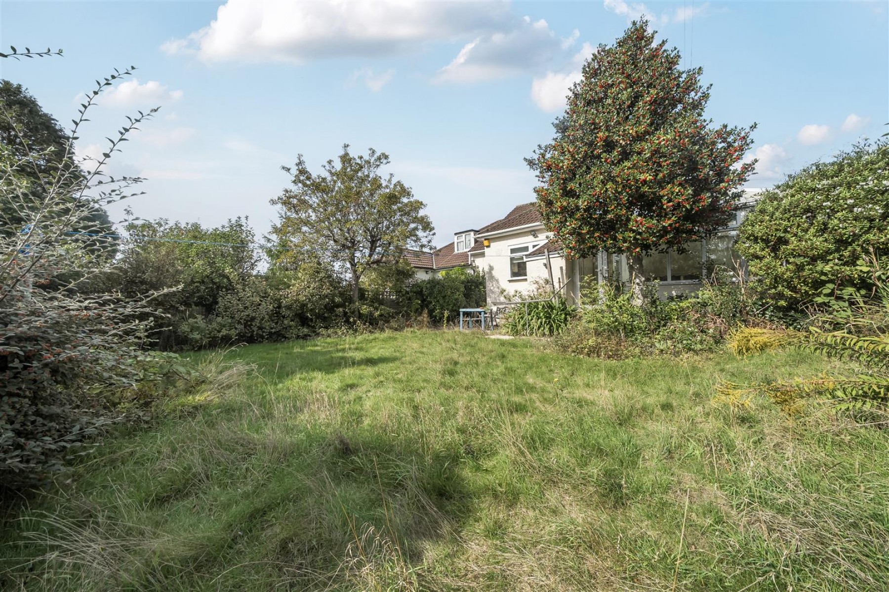 Images for Russell Grove, Westbury Park