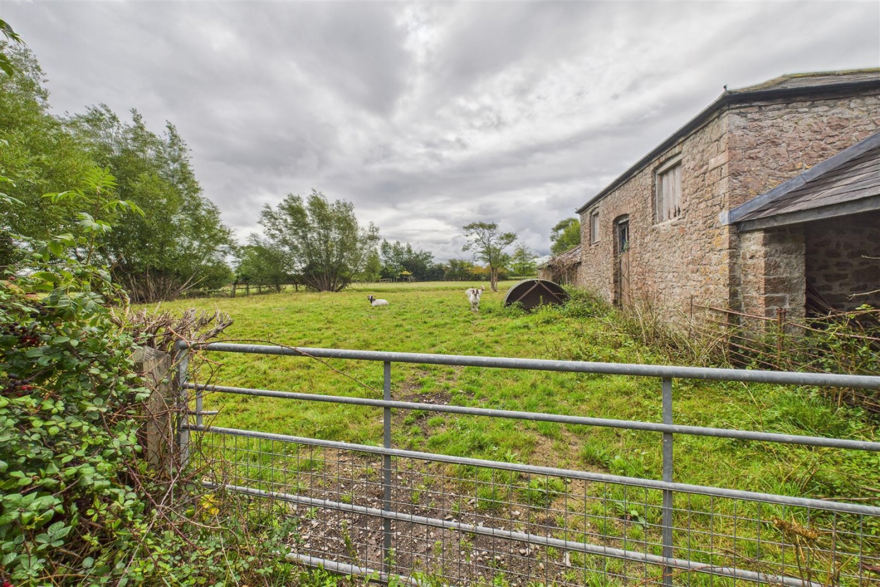 Images for HEWISH COURT | MODERNISATION