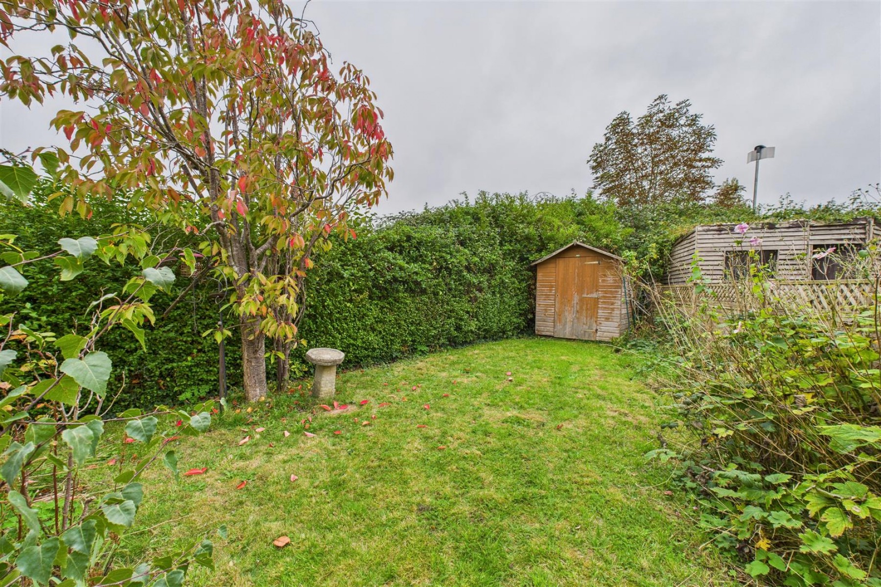 Images for REDUCED | UPDATING | COOMBE DINGLE
