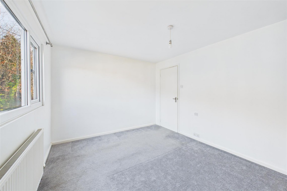 Images for LARGE PLOT | REDUCED FOR AUCTION