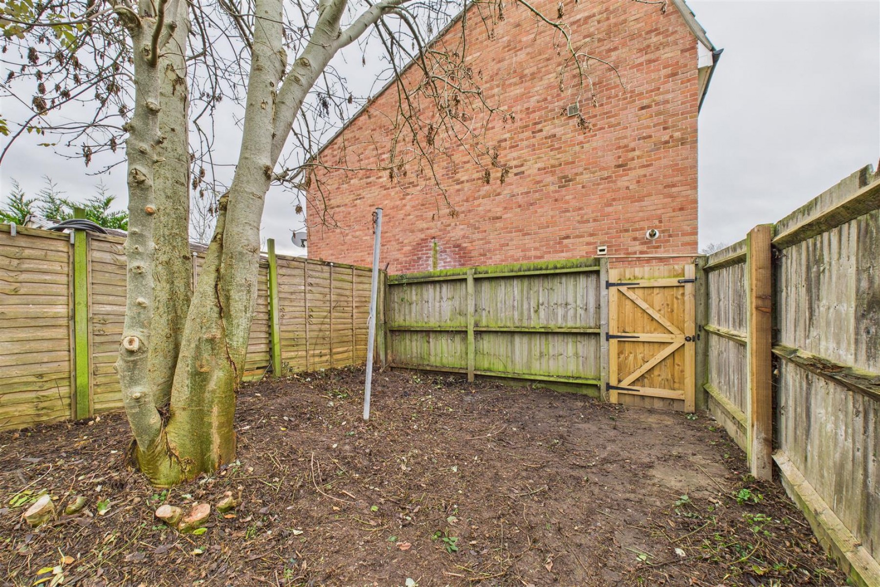 Images for COSMETIC UPDATING | WSM