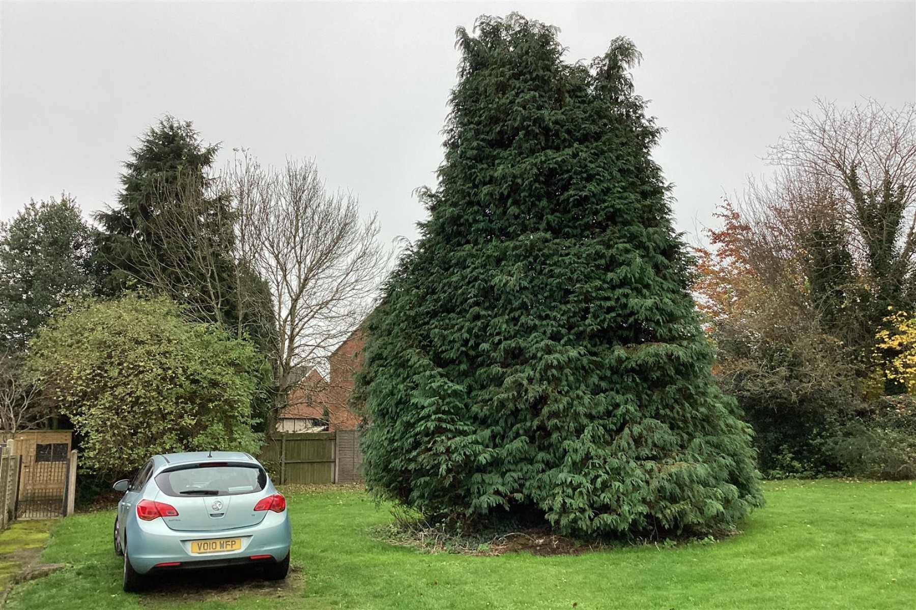 Images for SITE | PLANNING | WS15