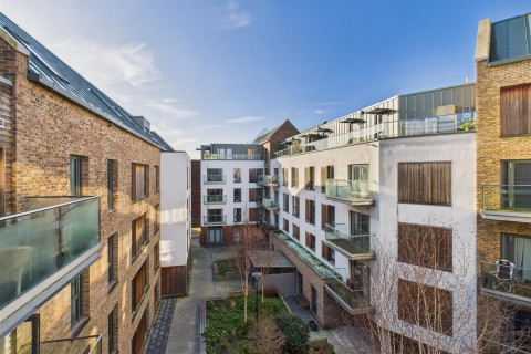 View Full Details for 