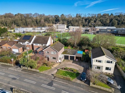 View Full Details for 