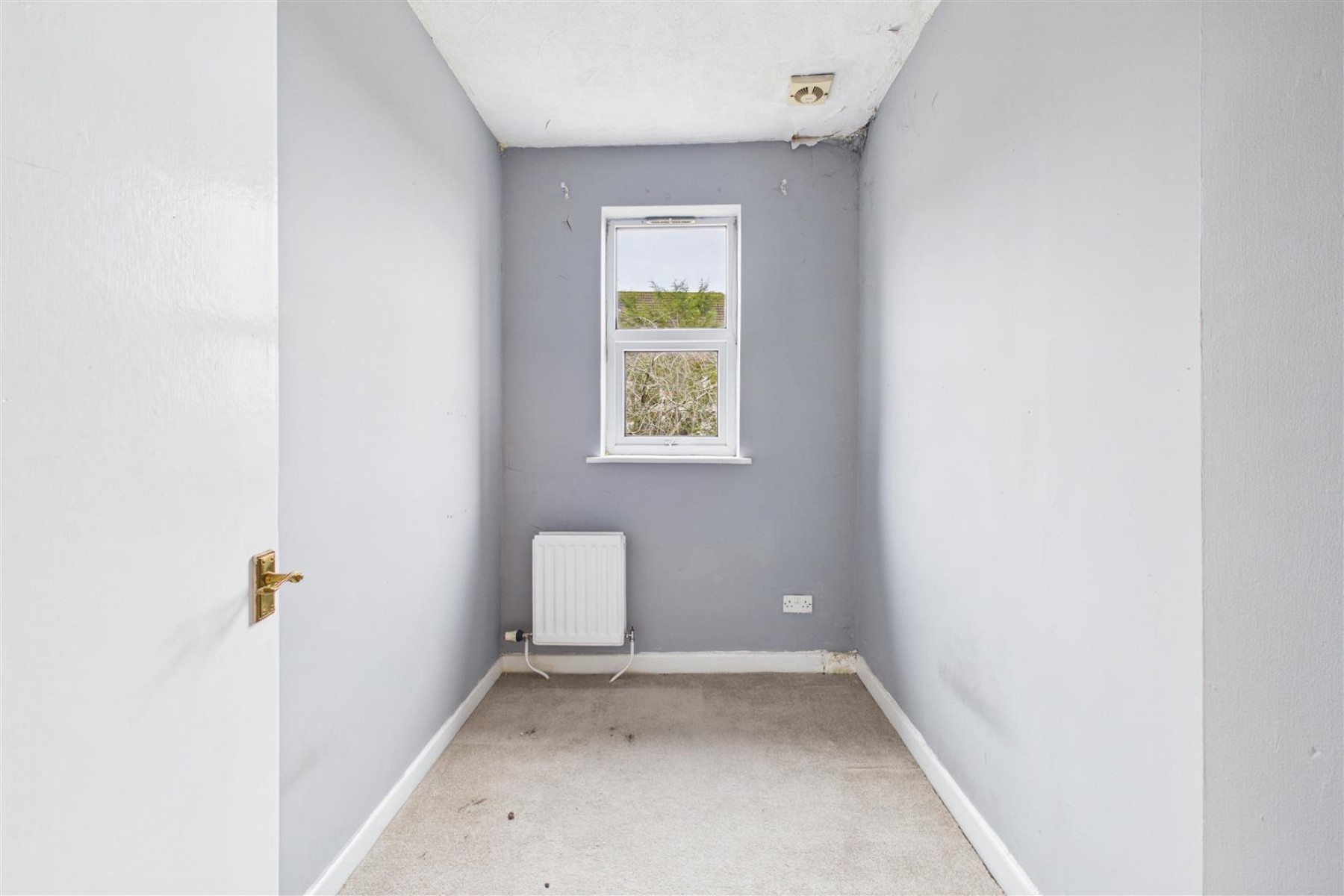 Images for HOUSE | UPDATING | KINGSWOOD