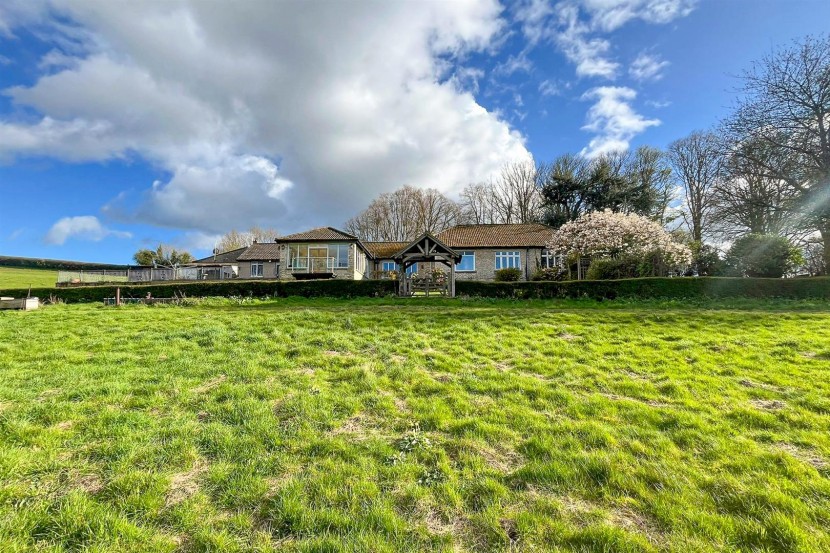 View Full Details for 