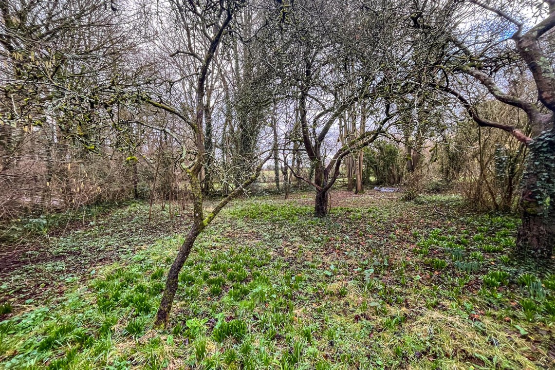 Images for DERELICT COTTAGE | CHEW MAGNA