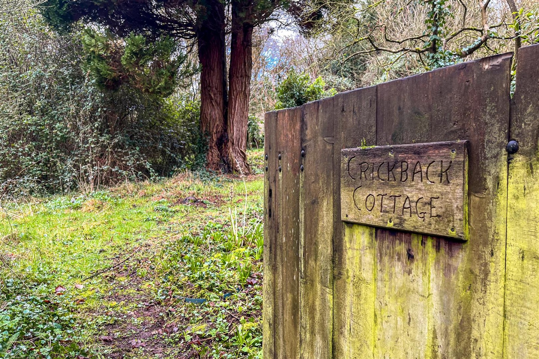 Images for DERELICT COTTAGE | CHEW MAGNA