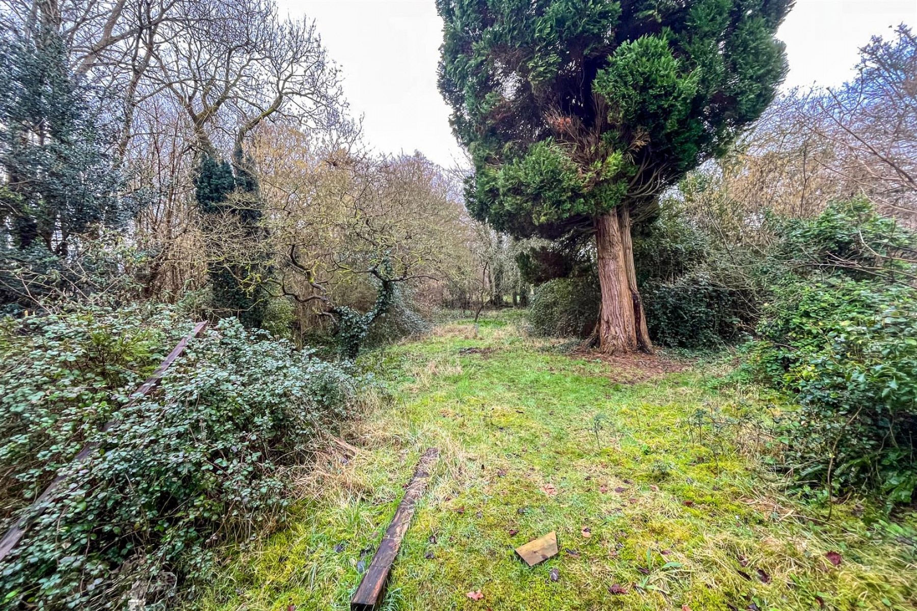 Images for DERELICT COTTAGE | CHEW MAGNA