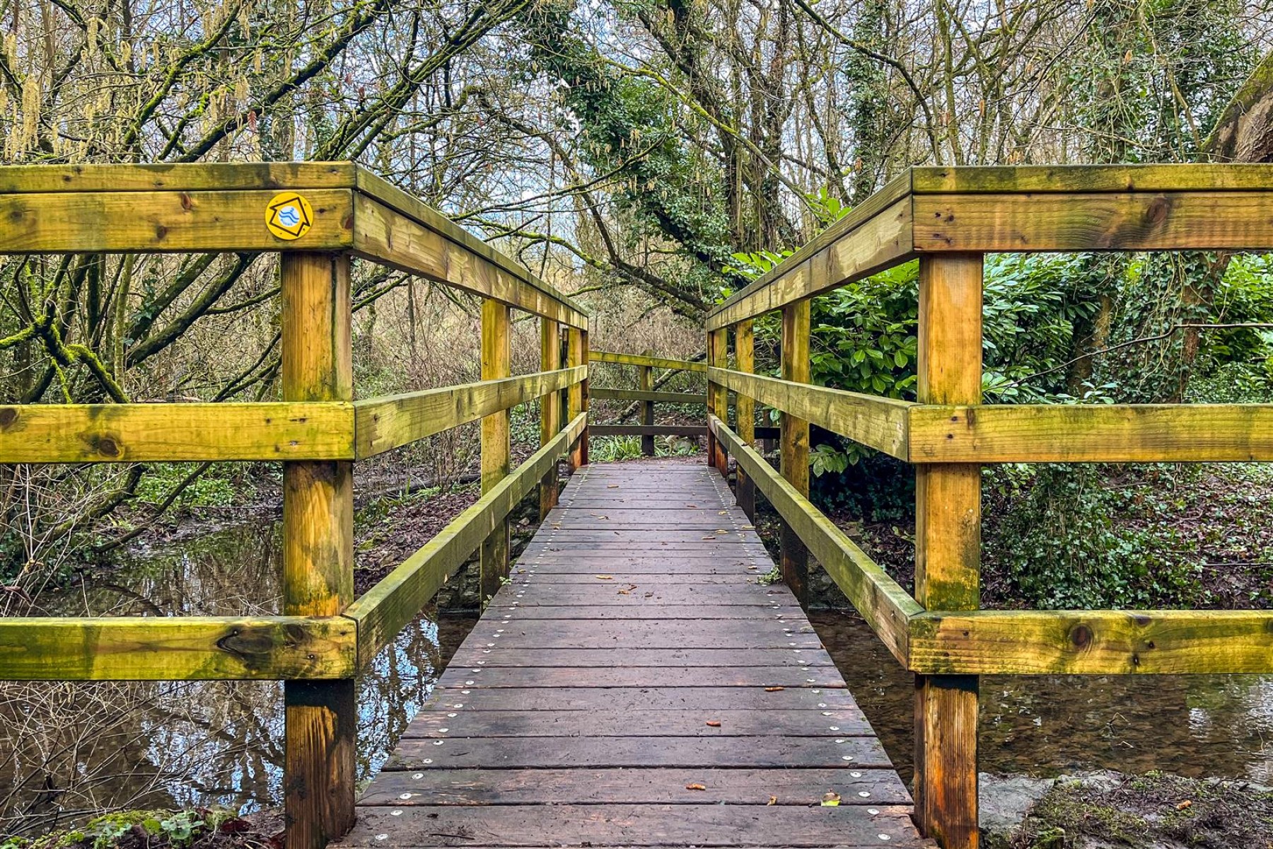 Images for DERELICT COTTAGE | CHEW MAGNA