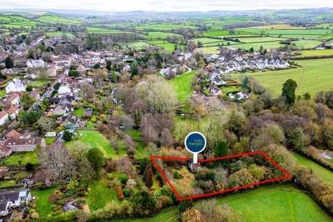 View Full Details for 