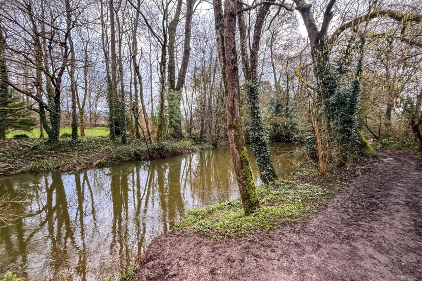 View Full Details for 