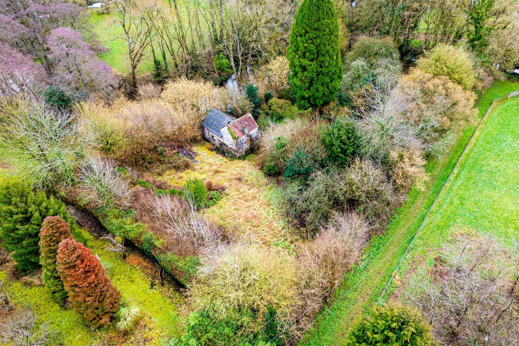 Images for DERELICT COTTAGE | CHEW MAGNA