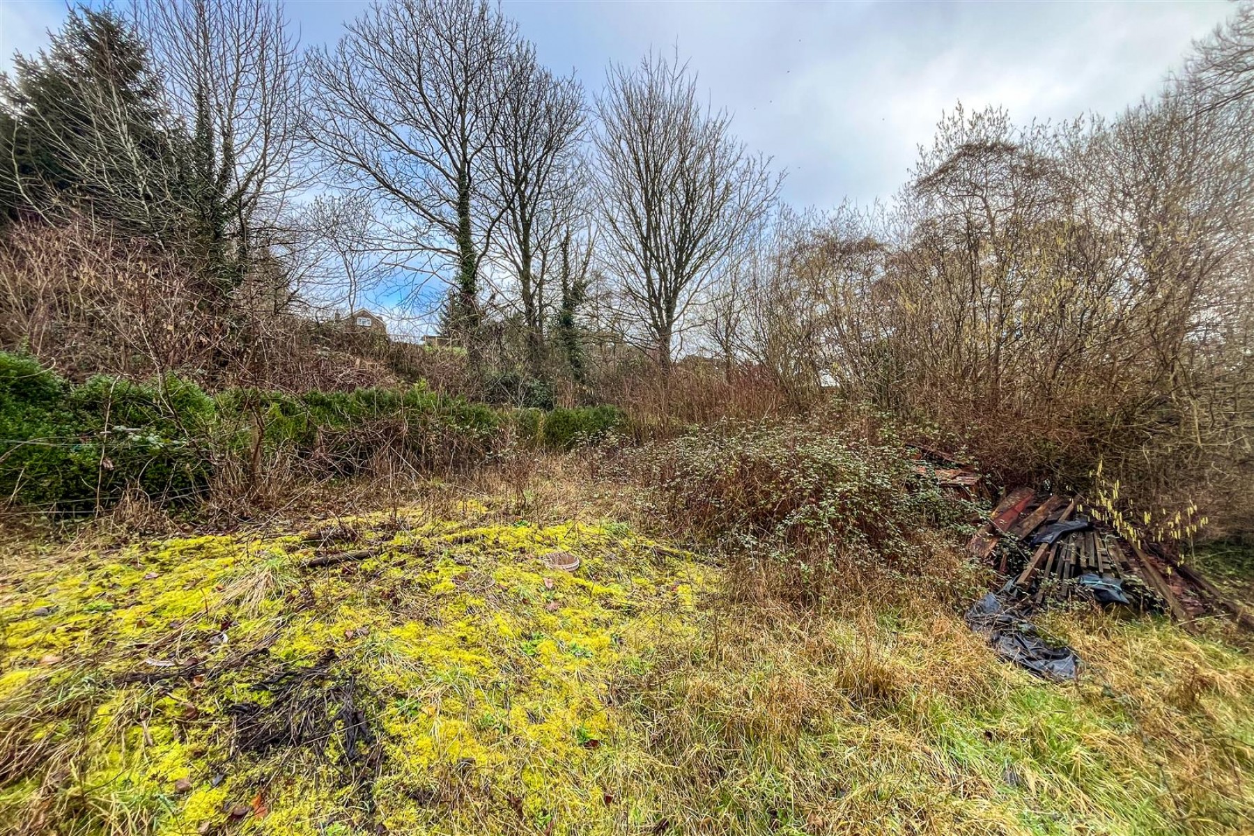 Images for DERELICT COTTAGE | CHEW MAGNA