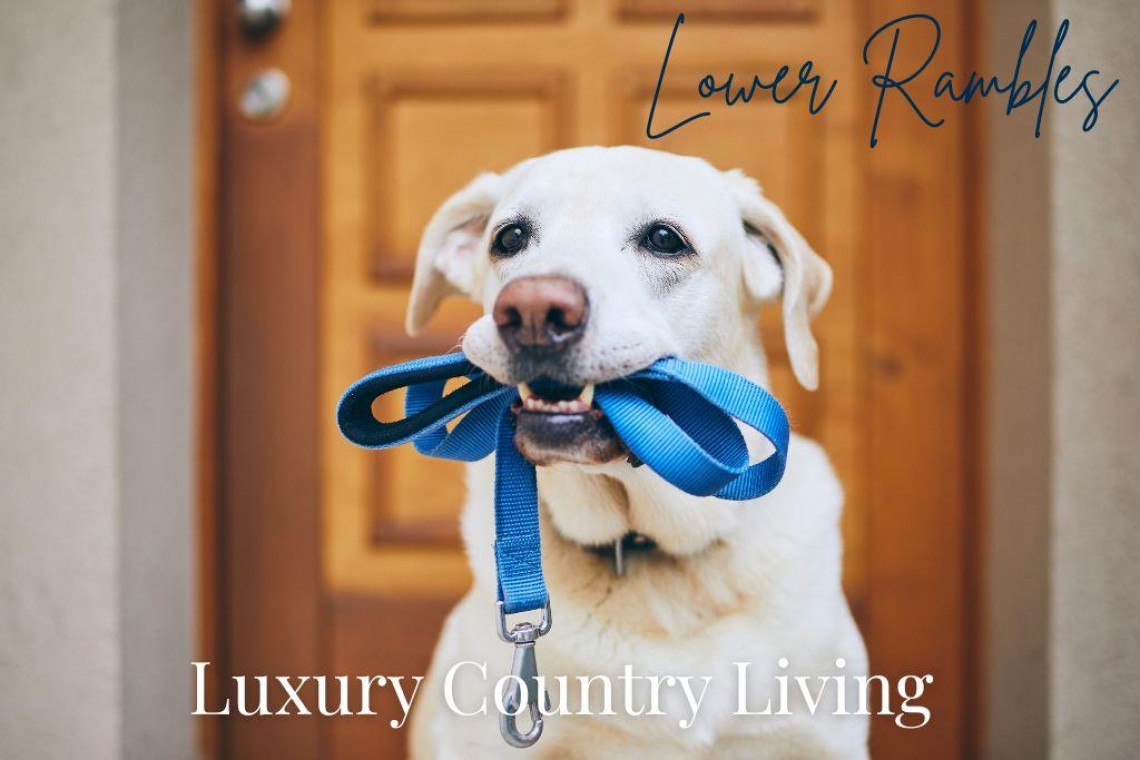 Images for Lower Rambles, Langford