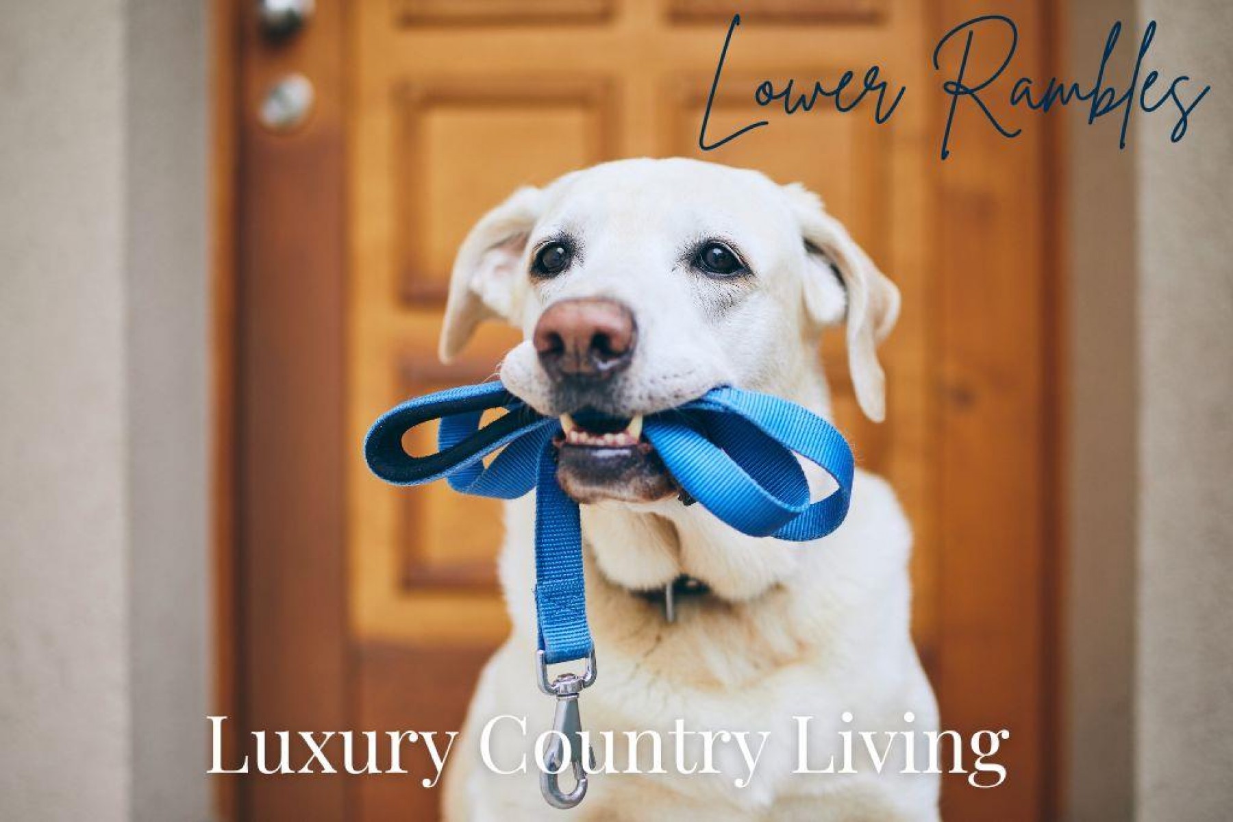 Images for Lower Rambles, Langford